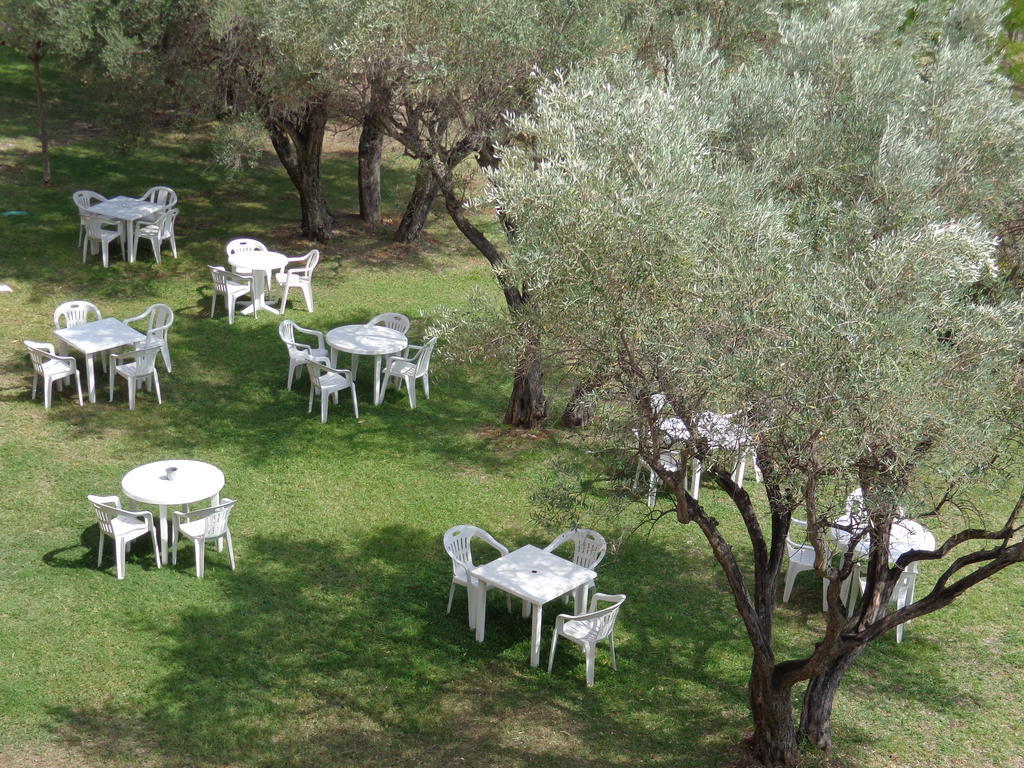 Le Domaine Des Oliviers Daire Saint-Cyr-sur-Mer Dış mekan fotoğraf