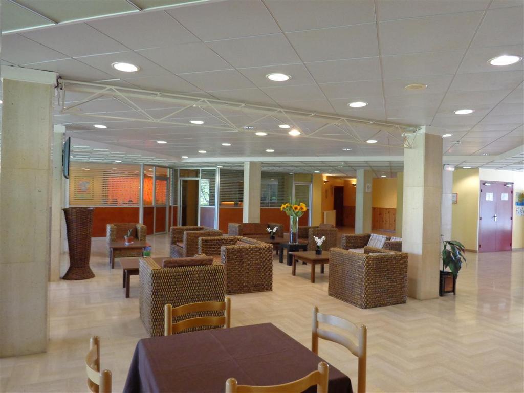 Le Domaine Des Oliviers Daire Saint-Cyr-sur-Mer Dış mekan fotoğraf