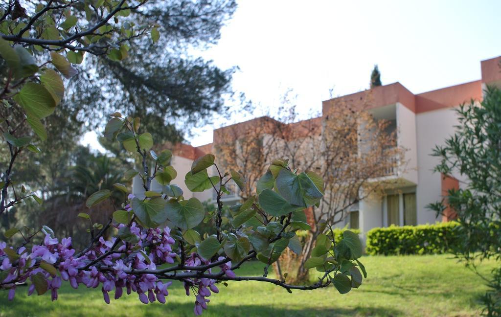 Le Domaine Des Oliviers Daire Saint-Cyr-sur-Mer Dış mekan fotoğraf