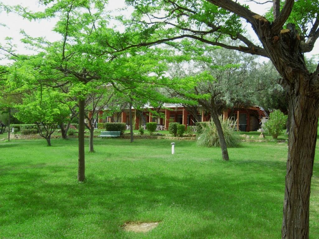 Le Domaine Des Oliviers Daire Saint-Cyr-sur-Mer Dış mekan fotoğraf
